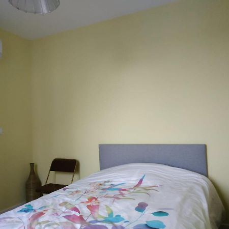 Le Palmier, Maison De Ville, 3 Chambres Et Jardin/Terrasse Blois Ngoại thất bức ảnh